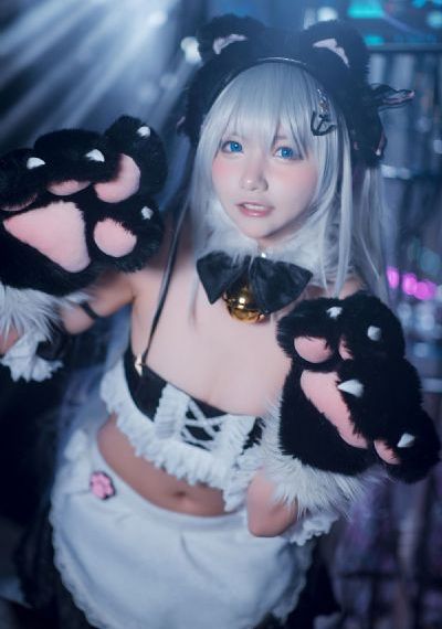 猫猫