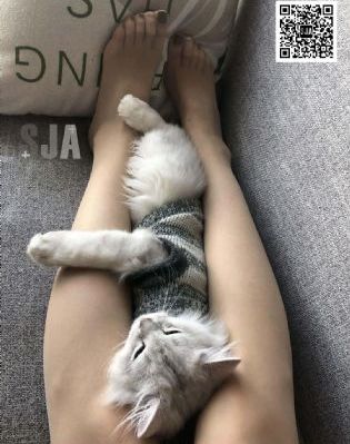 冰雨火电视剧
