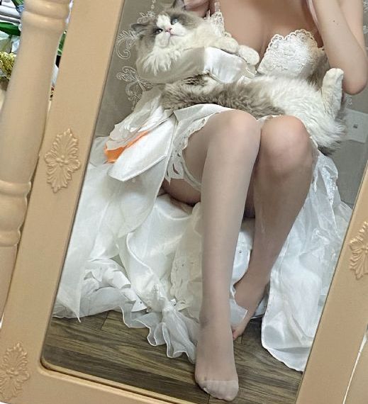 大清盐商