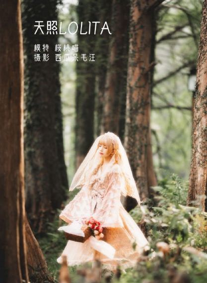 无懈可击之高手如林