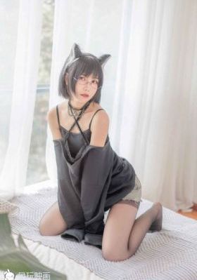 鱼丸捕鱼