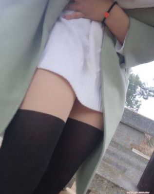 宰豪